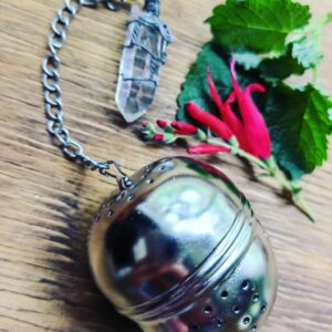 Stainless Steel Ball Tea Strainer