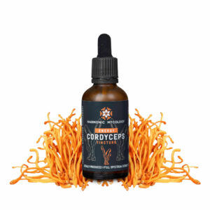 Cordyceps 50ml